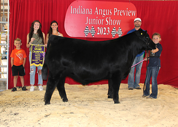 Reserve Grand Champion Steer