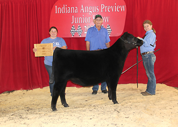 Owned Senior Heifer Calf Champion