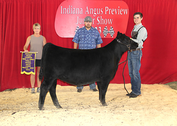 Reserve Grand Champion Bred-and-owned Female