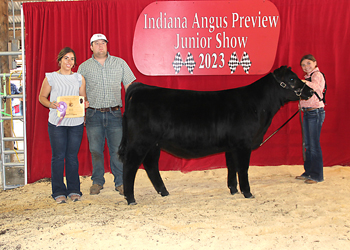 Owned Reserve Senior Heifer Calf Champion