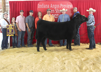 Reserve Grand Champion Female