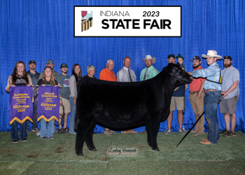 Grand Champion Female