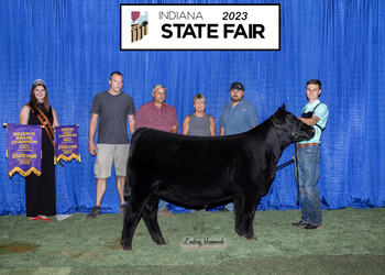 Reserve Grand Champion Female