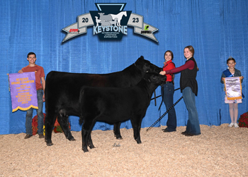 Reserve Grand Champion Cow-calf Pair