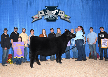 Reserve Grand Champion Female