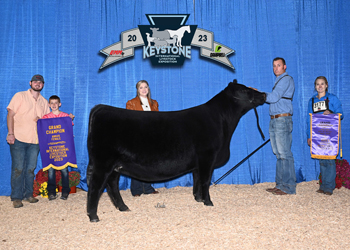 Grand Champion Female