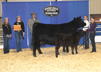 Reserve Grand Champion Cow-calf Pair