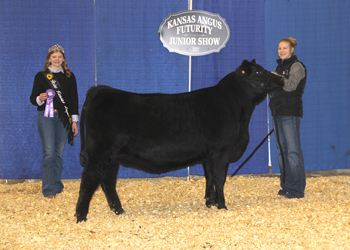 PGS Heifer Division 3