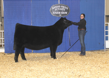 Owned Junior Champion Heifer