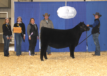 Reserve Grand Champion Owned Female