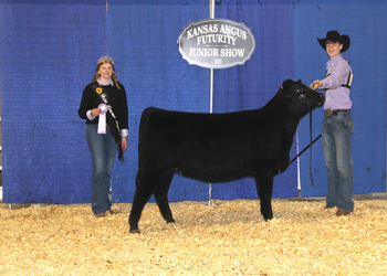 PGS Reserve Heifer Division 1