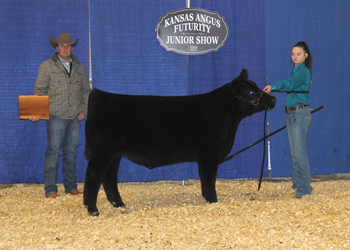 Reserve Grand Champion Steer