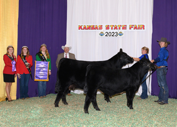 Grand Champion Cow-calf Pair