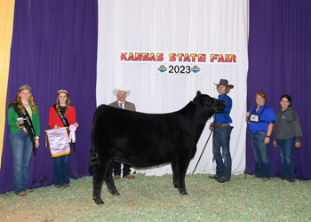 Reserve Grand Champion Female