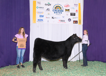 Grand Champion Bred-and-owned Female