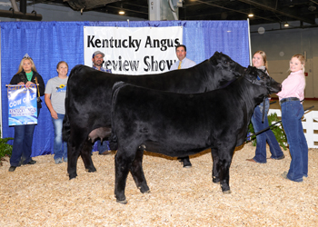 Grand Champion Cow-calf Pair