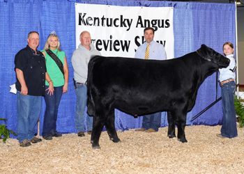 Reserve Grand Champion Steer