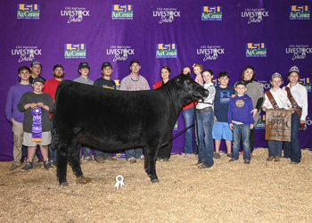 Grand Champion Female