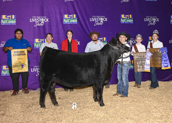 Reserve Grand Champion Female