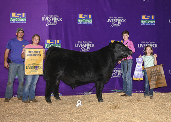 Reserve Grand Champion Bull