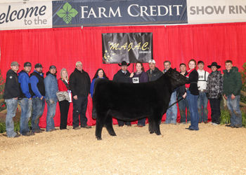 Grand Champion Owned Female