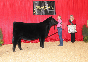 Owned Reserve Senior Champion Female