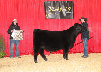 Owned Reserve Junior Champion Heifer--division 2