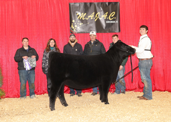 Owned Junior Champion Heifer--division 1