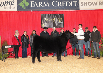 Reserve Grand Champion Bred-and-owned Female