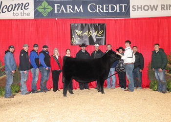 Reserve Grand Champion Owned Female