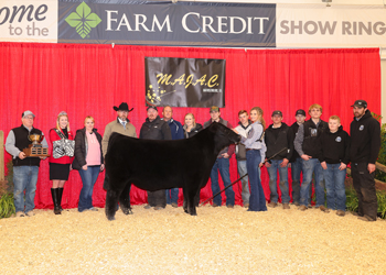 Grand Champion Steer