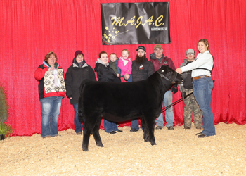 Owned Reserve Senior Heifer Calf Champion