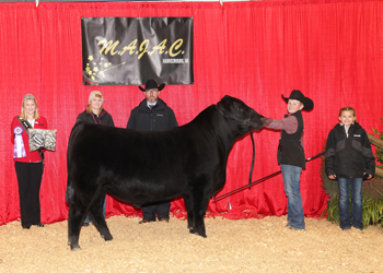 Grand Champion Bred-and-owned Bull