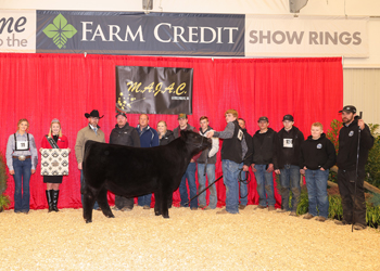 Reserve Grand Champion Steer