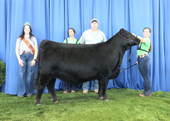 Bred-and-owned Senior Champion Female