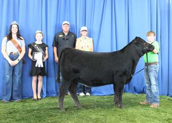 Owned Reserve Senior Heifer Calf Champion