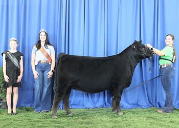 Owned Senior Heifer Calf Champion