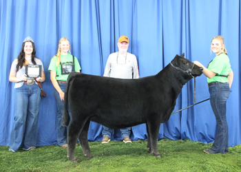 Bred-and-owned Reserve Senior Heifer Calf Champion