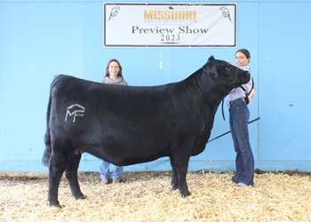 Reserve Senior Champion Female