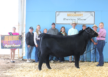 Reserve Grand Champion Female