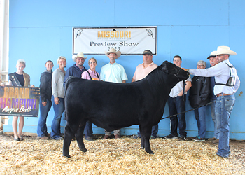 Grand Champion Bull