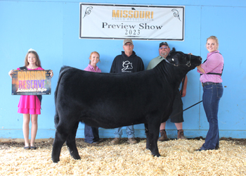 Reserve Intermediate Champion Heifer