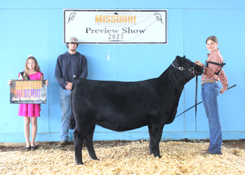 Reserve Early Senior Heifer Calf Champion