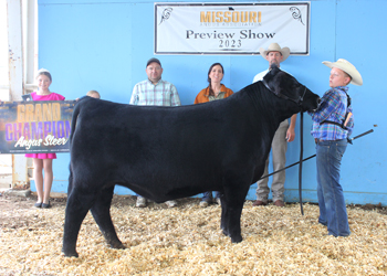 Grand Champion Steer