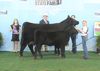 Grand Champion Cow-calf Pair