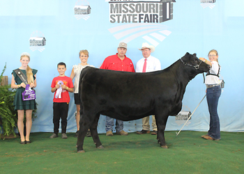 Reserve Grand Champion Female