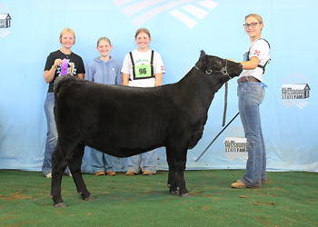 Junior Heifer Calf Champion