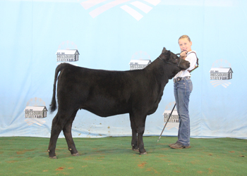 Reserve Junior Heifer Calf Champion