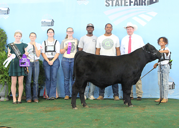 Reserve Grand Champion Bull