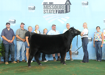 Reserve Intermediate Champion Heifer